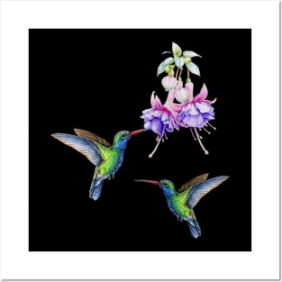 hummingbird Posters and Art